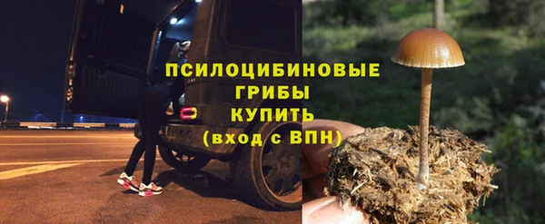 хмурый Куйбышев