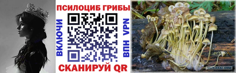где найти   даркнет формула  Галлюциногенные грибы Psilocybine cubensis  Магнитогорск 
