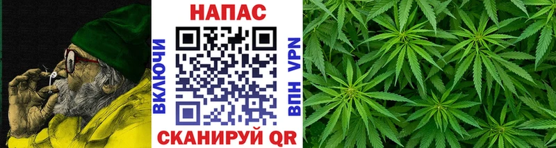 Каннабис индика  Магнитогорск 